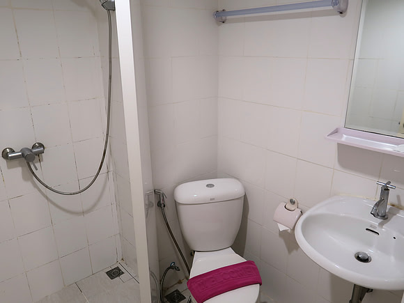 IMG_1308-zing-bathroom