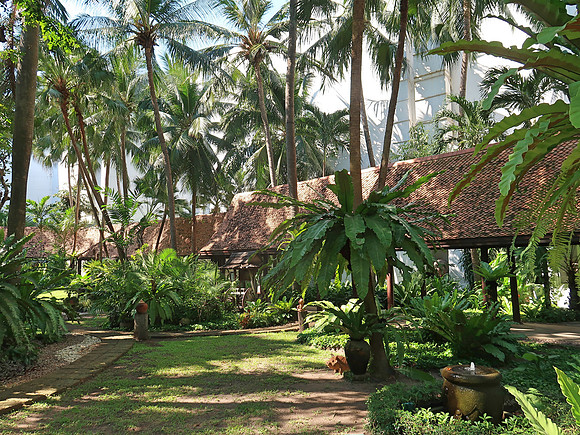 IMG_1339-avani-hotel-garden
