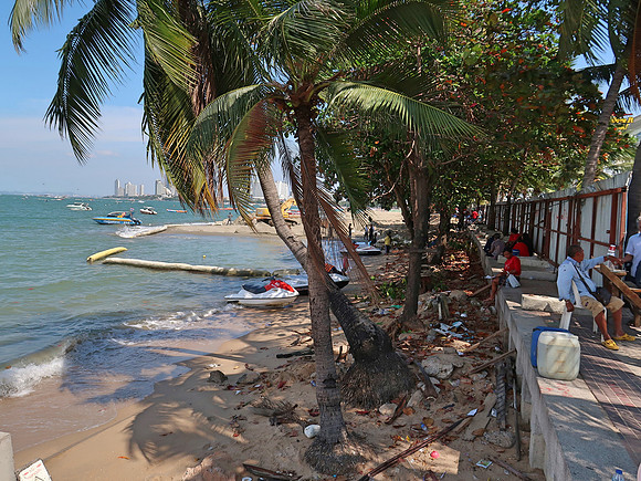 IMG_1147-small-trashy-beach