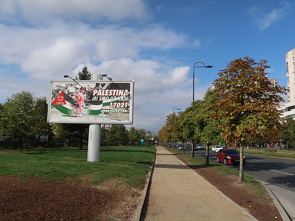 IMG_2303-palestine-billboard