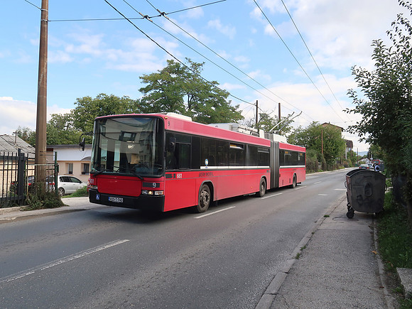IMG_2320-trolley-bus