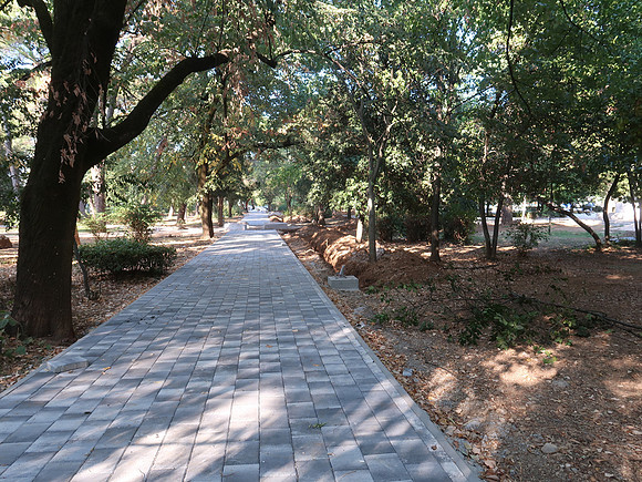 IMG_2418-njegosev-park