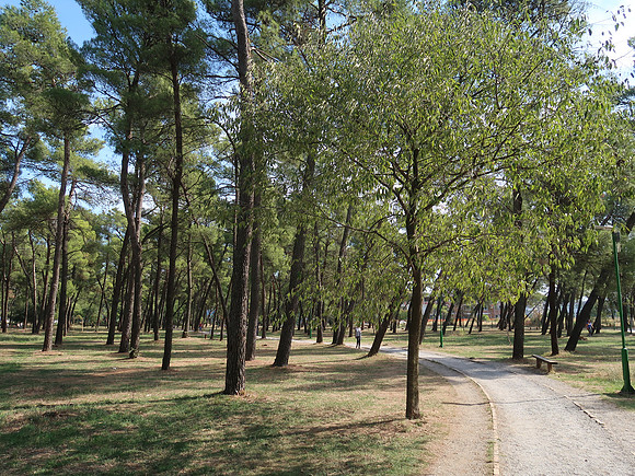 IMG_2570-running-track-park