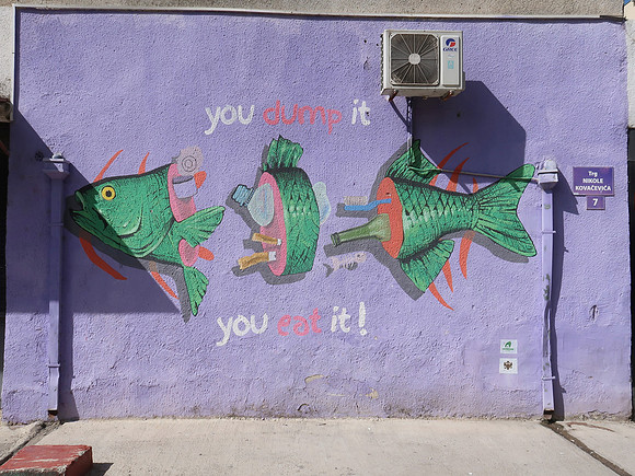 IMG_2577-you-dump-it-you-eat-it