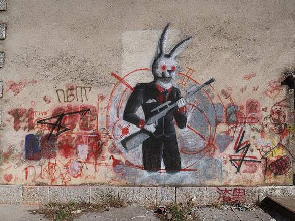 IMG_2655-rabbit-hunter