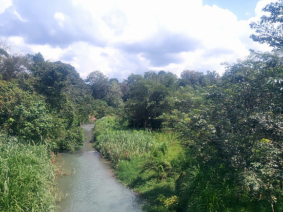 20240422_133838-river-view