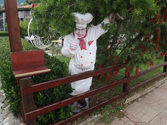 IMG_2941-chef-in-bush