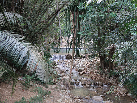 IMG_2404-bot-gardens-waterfall