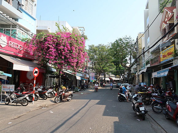 IMG_3341-danang-flowers