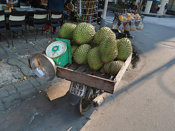 IMG_3390-durian-bike
