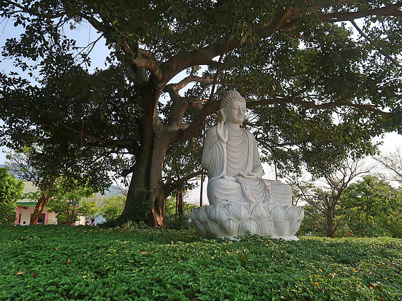 IMG_3406-buddha-under-the-tree