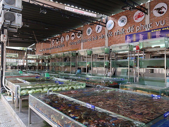 IMG_3480-live-seafood