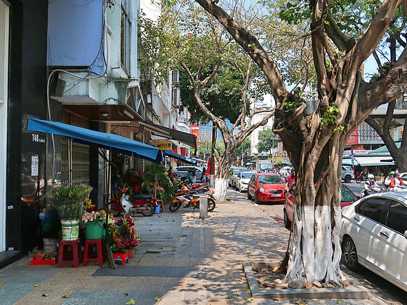 IMG_3516-old-da-nang