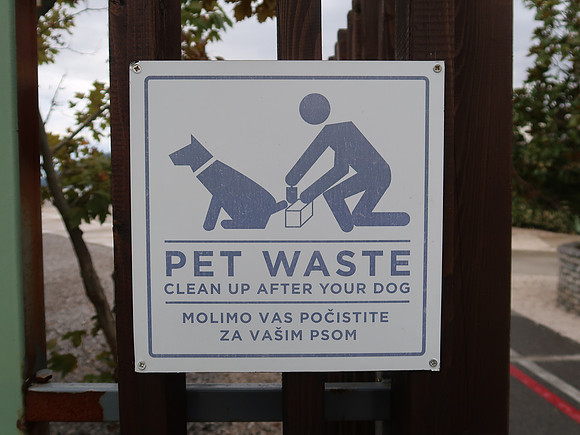 IMG_3032-pet-waste