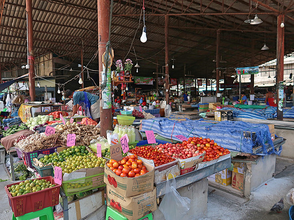 IMG_4197-market