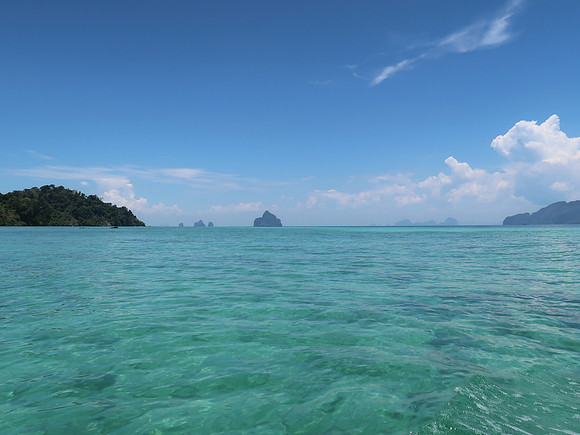IMG_4273-tropical-blues