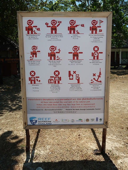 IMG_4314-reef-rules