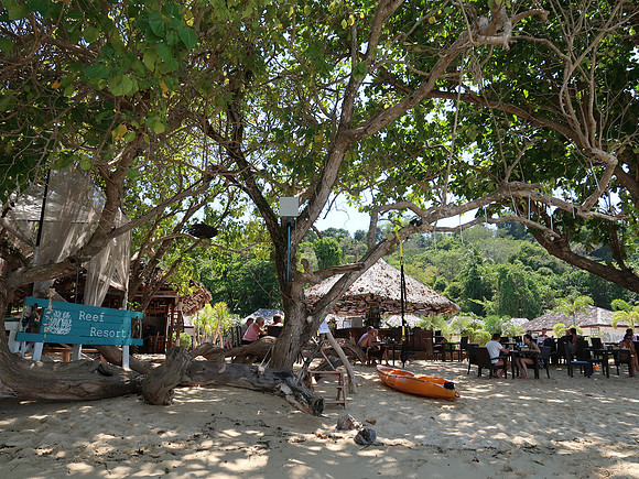 IMG_4326-reef-resort