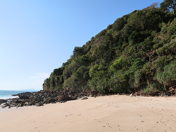 IMG_4383-jungle-meets-the-sea