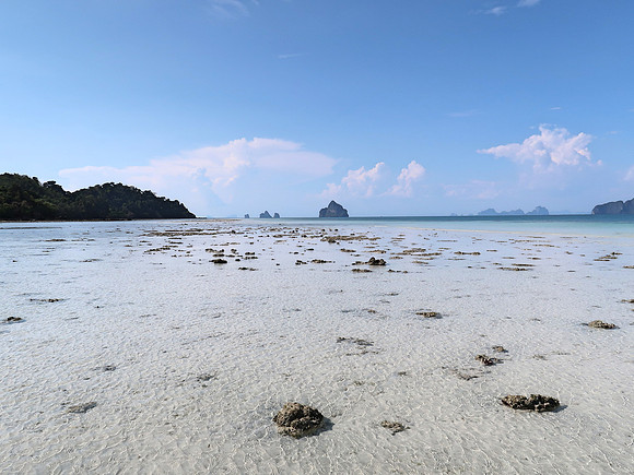IMG_4364-low-tide-pools