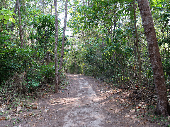 IMG_4371-to-paradise-lost-resort