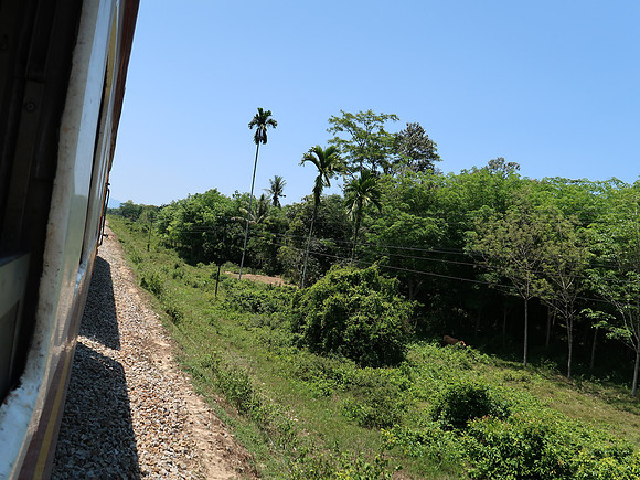 IMG_4532-in-the-deep-south