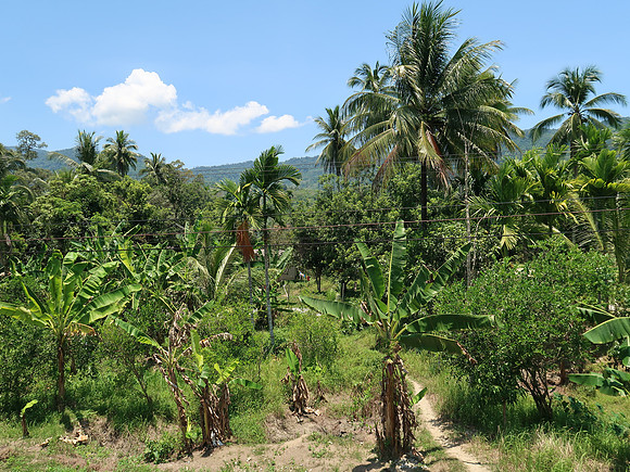 IMG_4558-deep-south-scenery
