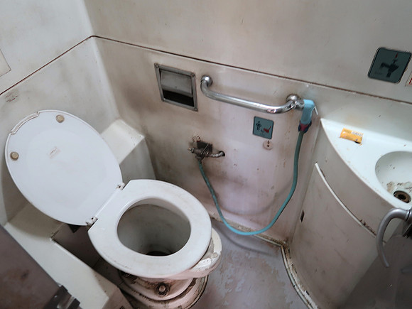 IMG_4763-seat-toilet