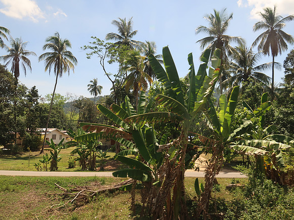IMG_4787-kampung-life