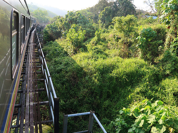 IMG_4953-jungle-bridge