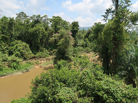 IMG_5066-sungai-tealng