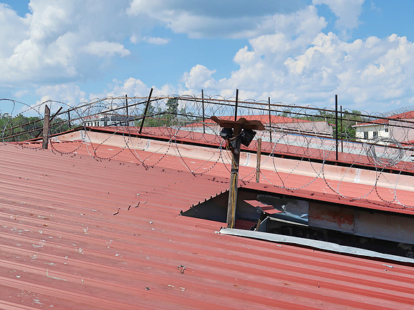 IMG_5147-bird-nest-roof