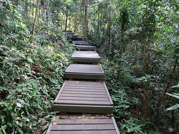 IMG_5258-walking-path