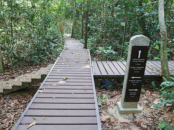 IMG_5263-marked-walking-paths