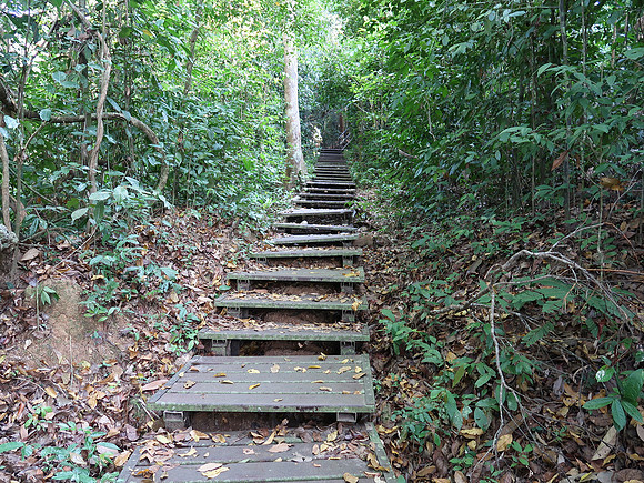 IMG_5268-walk-up-the-hill