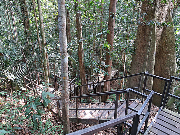 IMG_5270-gully-walkway