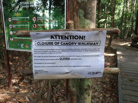 IMG_5272-closure-of-canopy-walk