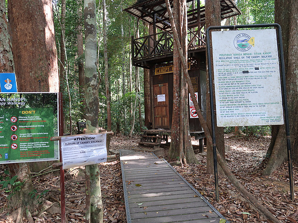 IMG_5278-canopy-closed