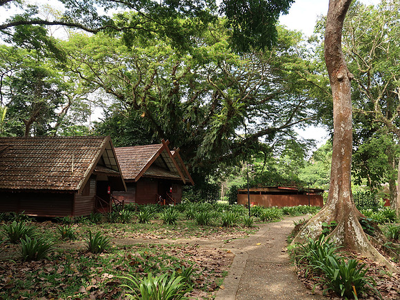 IMG_5282-resort-cabins