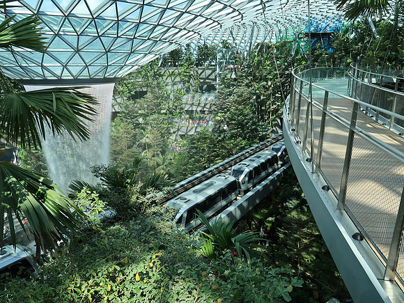 IMG_5969-canopy-bridge-view