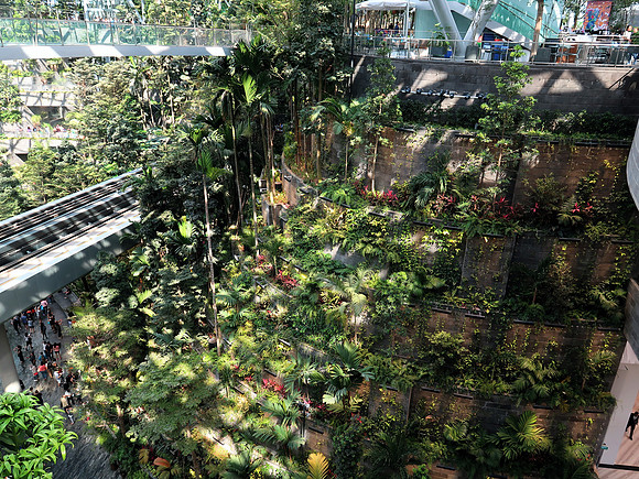 IMG_5972-terraced-greenery