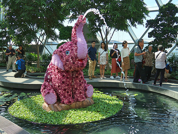 IMG_5991-pink-elephant