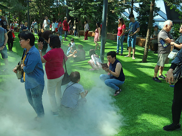 IMG_6000-foggy-bowls