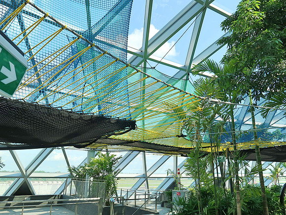 IMG_6004-bouncing-nets