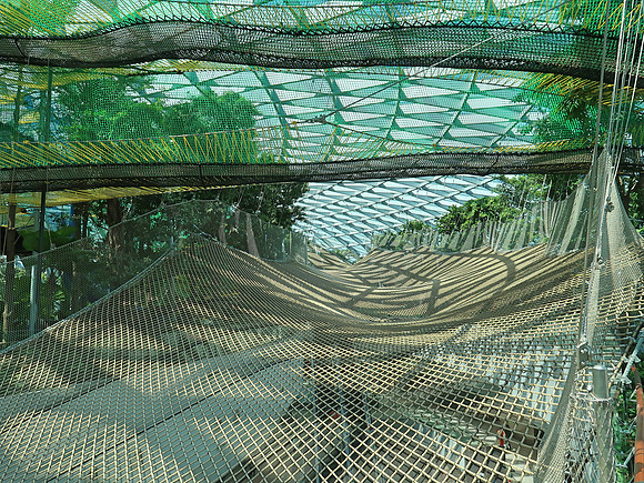 IMG_6007-sky-nets