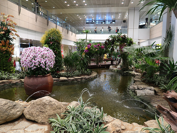 IMG_6107-orchid-garden-t2