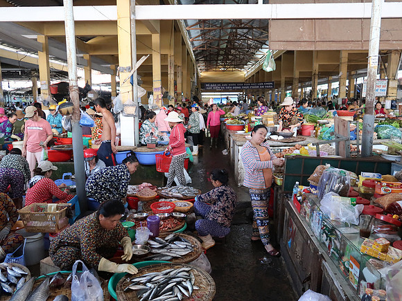 IMG_6367-market