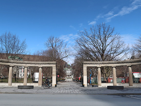 IMG_6768-mcgill