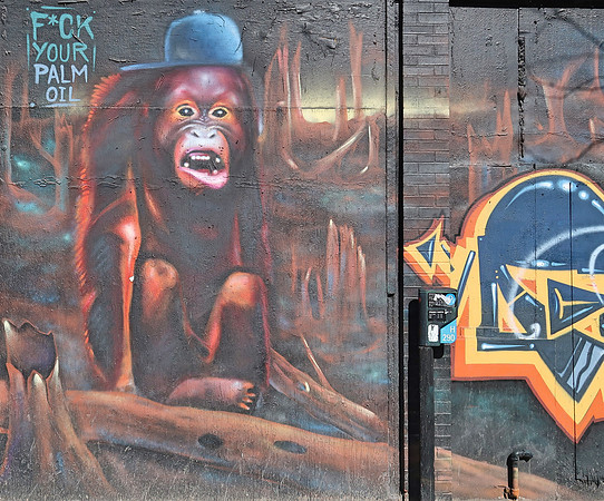 IMG_6829-palm-oil-orangutan