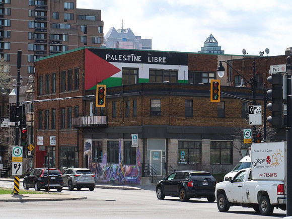 IMG_6982-palestine-libre